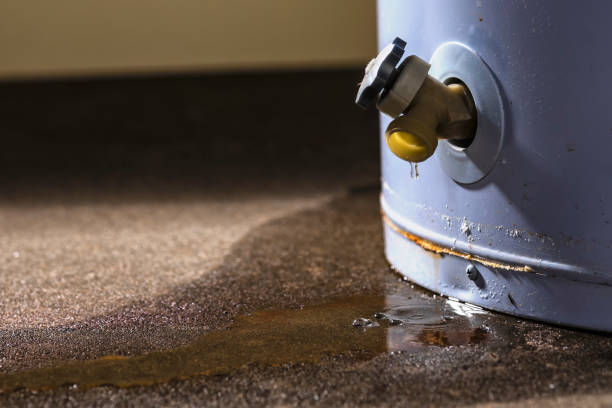 Best Flood restoration services  in Valley Springs, CA