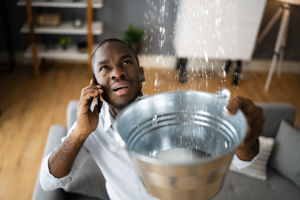 Best Local water damage restoration  in Valley Springs, CA