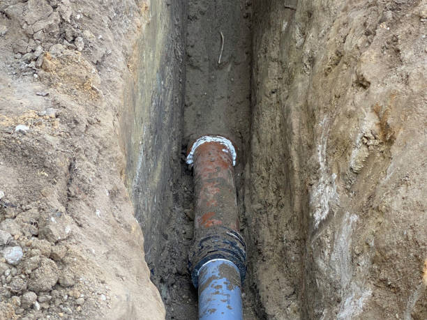 Best Flood damage cleanup  in Valley Springs, CA