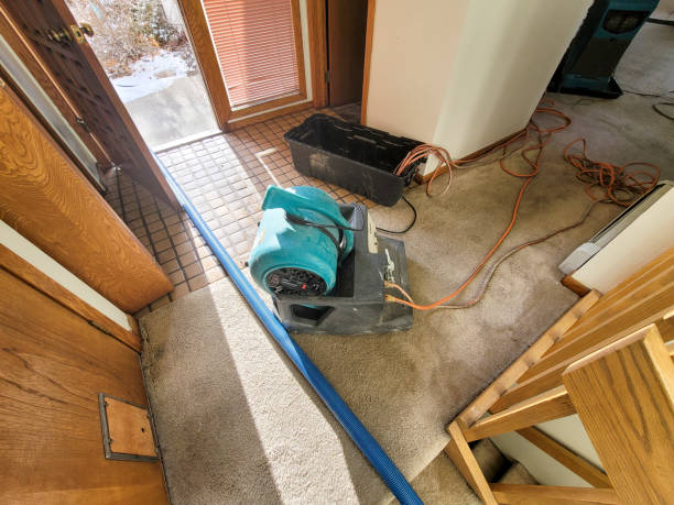 Best Water damage restoration near me  in Valley Springs, CA