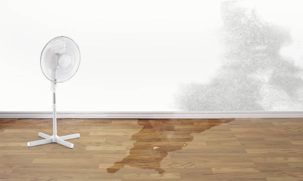 Fire Damage Restoration in Valley Springs, CA