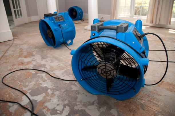 Best Local water damage restoration  in Valley Springs, CA