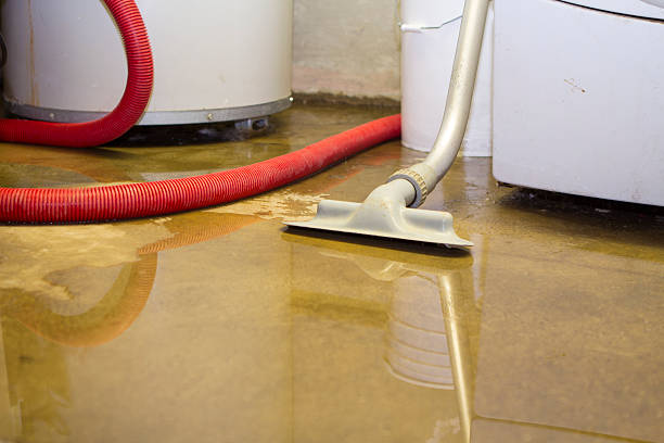 Best Water damage contractors near me  in Valley Springs, CA