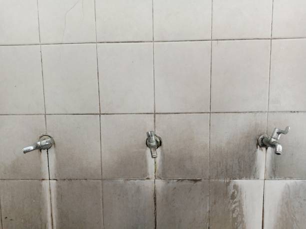 Best Mold removal after water damage  in Valley Springs, CA