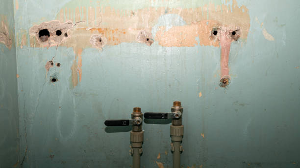 Best Water damage restoration near me  in Valley Springs, CA